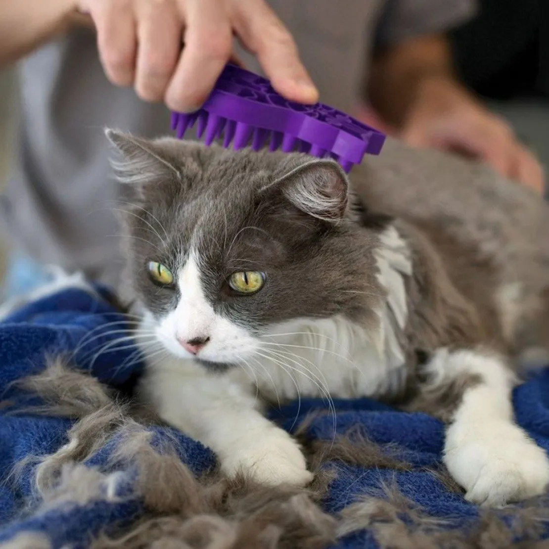 KONG Cat ZoomGroom