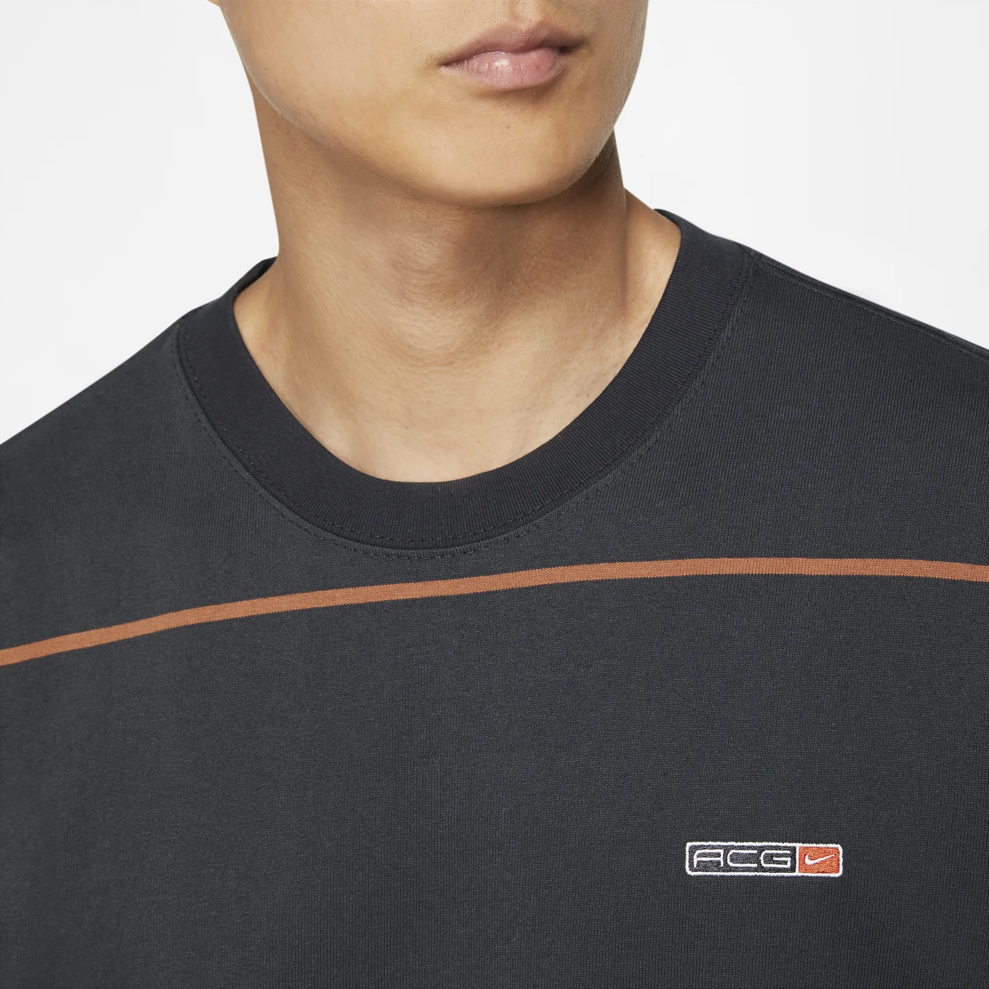 Nike ACG Mens Striped SS Tee