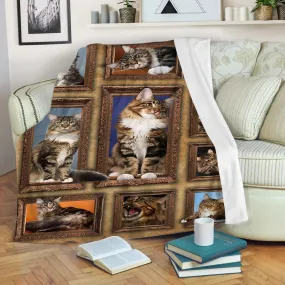 Plaid Maine Coon Chat 3D, Cadeau Pour Fan De Chats - CT19122241